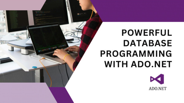 Powerful Database Programming With ADO.NET