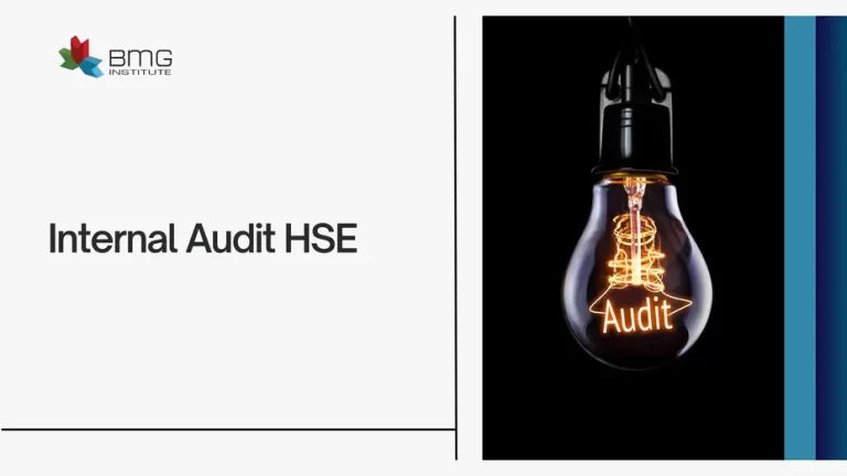 Internal Audit HSE